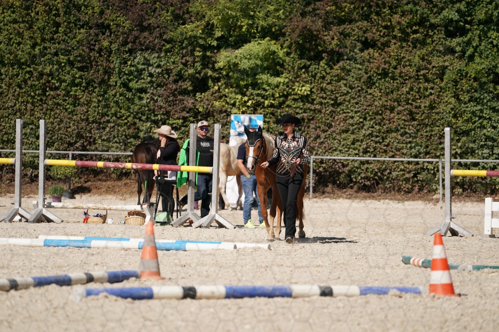 s_A_907708.JPG